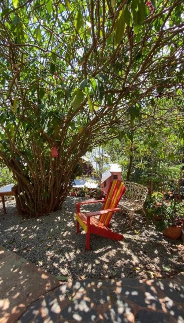 El Campo En Jarabacoa Villa Ngoại thất bức ảnh
